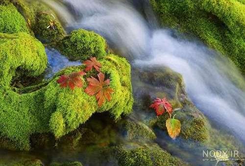  عکس های عجیب و غریب از طبیعت