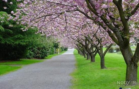  عکس های عجیب و غریب از طبیعت