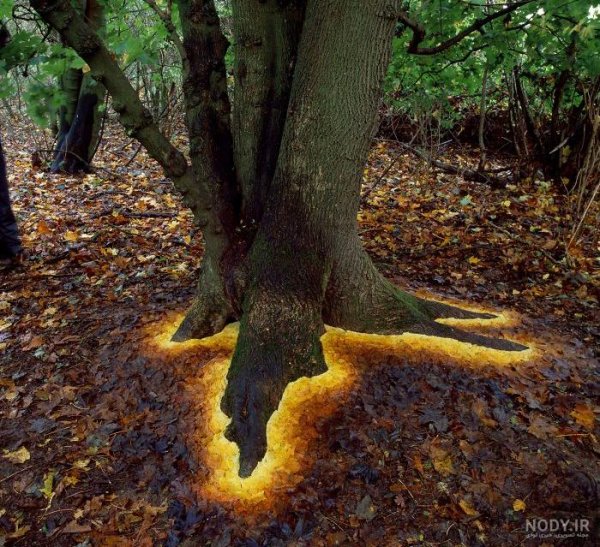 عکس های عجیب و غریب از طبیعت