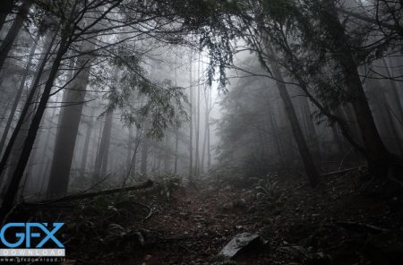 عکس های عجیب و غریب ترسناک