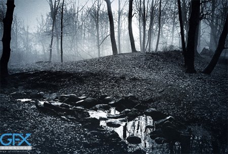  عکس های عجیب و غریب ترسناک