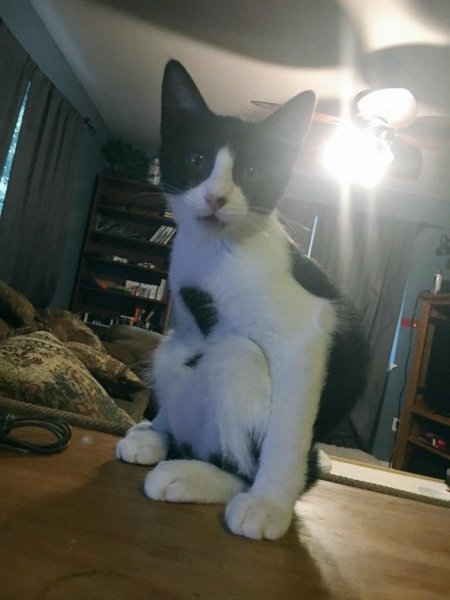 عکس های عجیب و غریب خنده دار