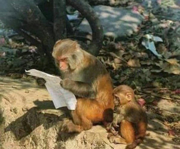  عکس های عجیب و غریب خنده دار