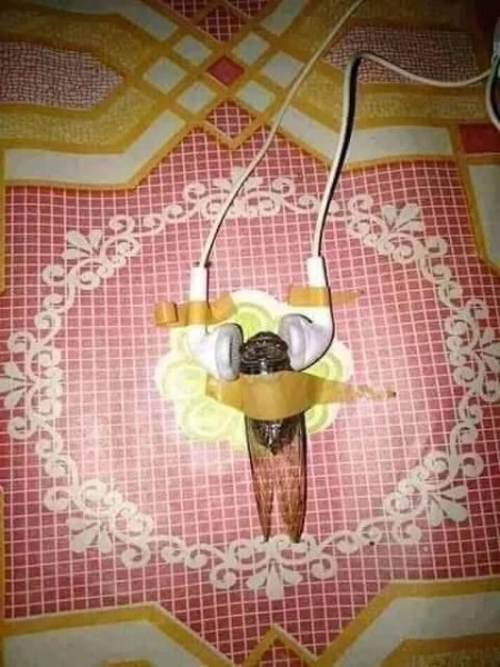  عکس های عجیب و غریب خنده دار