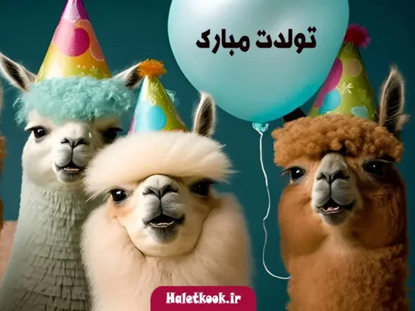 عکس تبریک تولد خنده دار