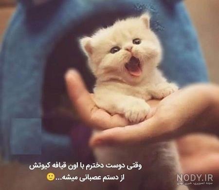  عکس تبریک تولد خنده دار