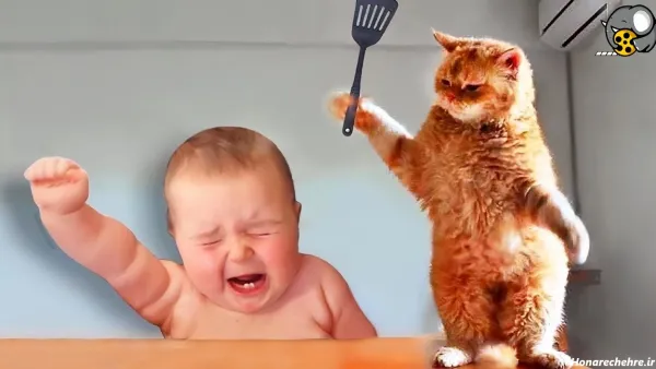  عکسهای خنده دار