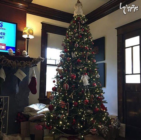 عکس کریسمس خارجی ها