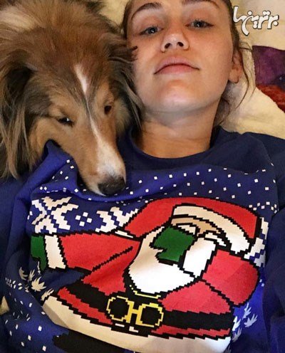  عکس کریسمس خارجی ها