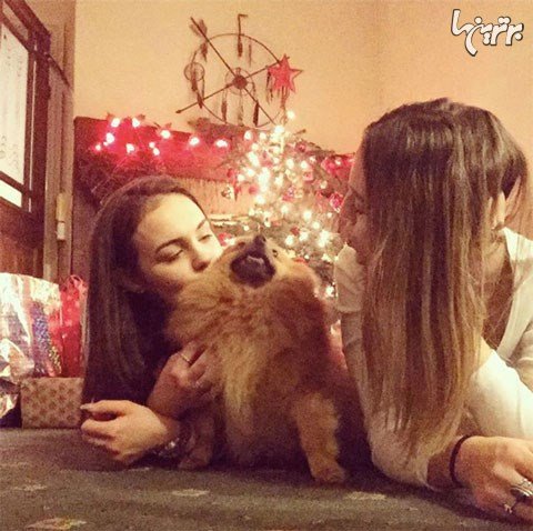  عکس کریسمس خارجی ها