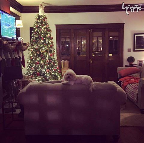  عکس کریسمس خارجی ها