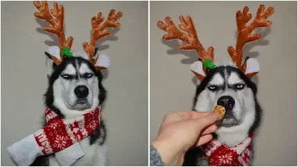  عکس کریسمس برای پس زمینه