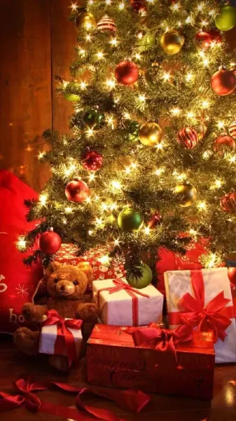  عکس درخت کریسمس واقعی