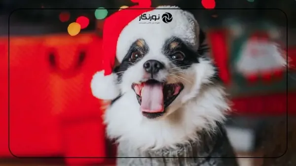  ایده عکس کریسمس