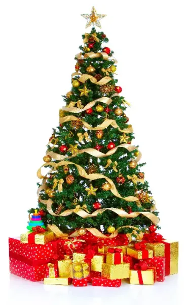  عکس کریسمس امسال