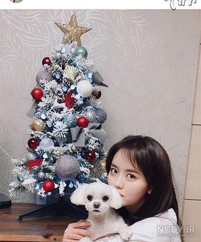  عکس کریسمس بی تی اس