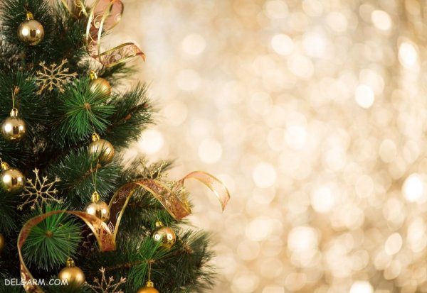  عکس درخت کریسمس با کیفیت