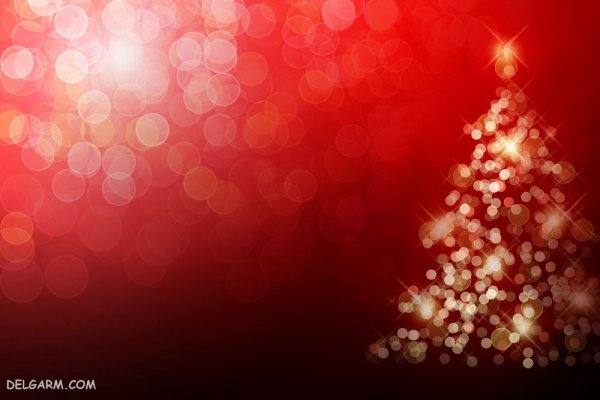  عکس درخت کریسمس با کیفیت