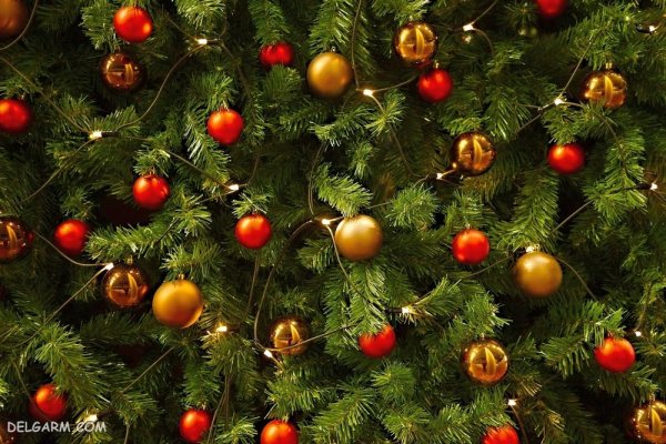  عکس درخت کریسمس با کیفیت