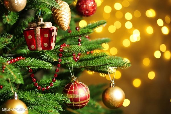  عکس درخت کریسمس با کیفیت