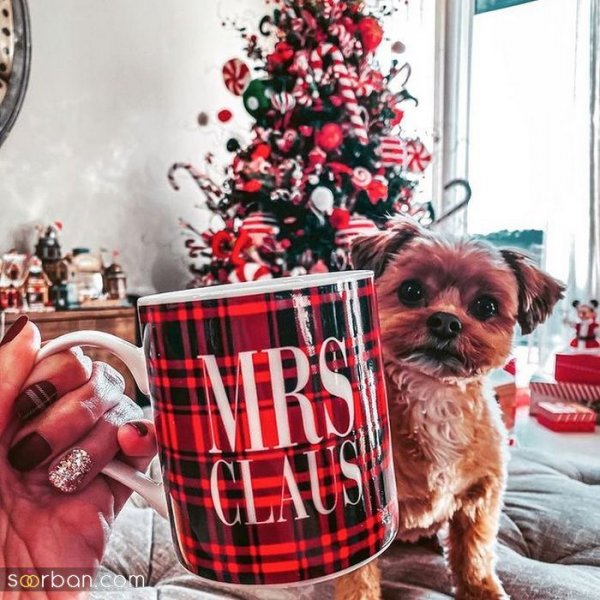  100 عکس کریسمس پینترست