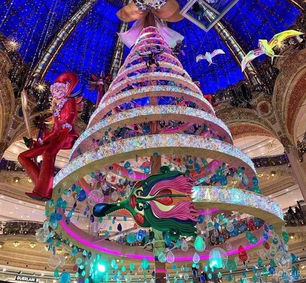  عکس کریسمس پاریس