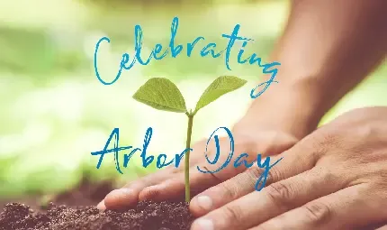  عکس پروفایل کریسمس ۲۰۲۵