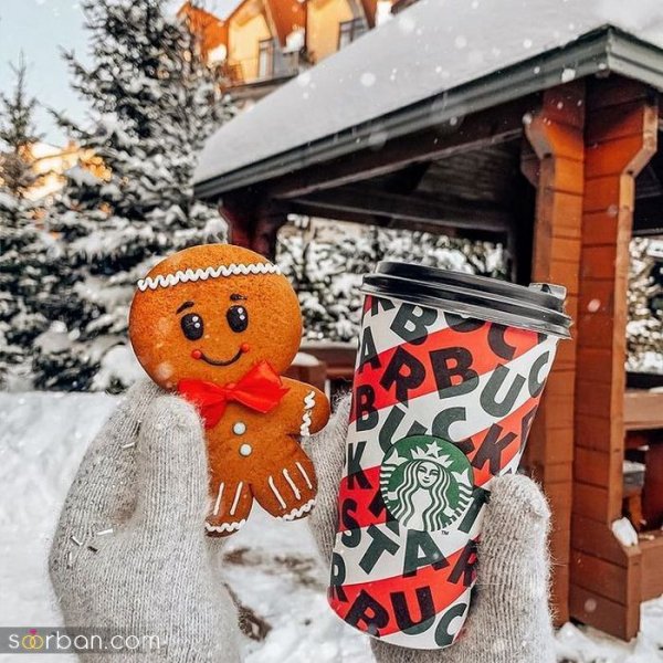  عکس کریسمس رویایی