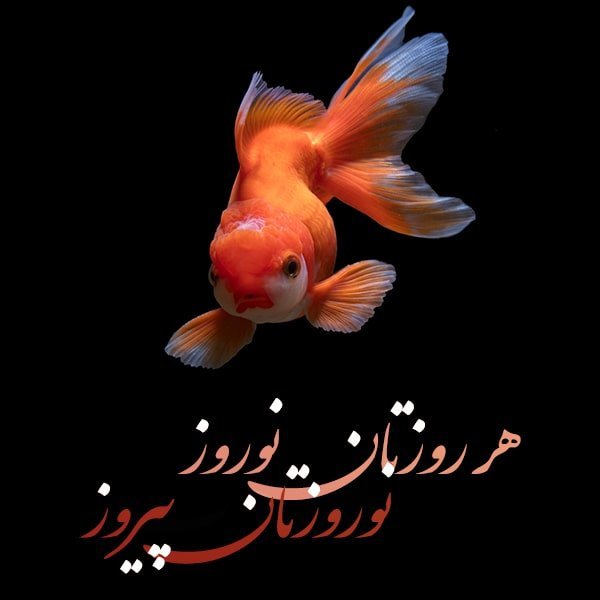  تبریک سال نو شمسی