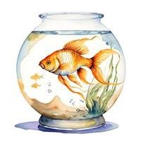  عکس عید نوروز در ایران