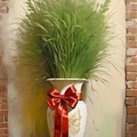  عکس عید نوروز در ایران