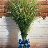  عکس عید نوروز در ایران