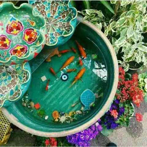  عکس عید نوروز بدون متن