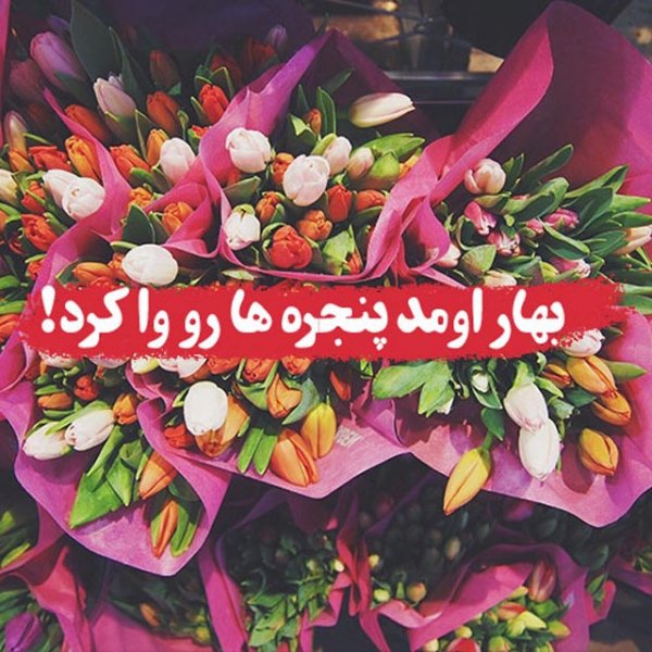  عکس عید نوروز بدون متن