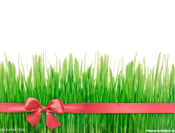  99 عکس نوروزی