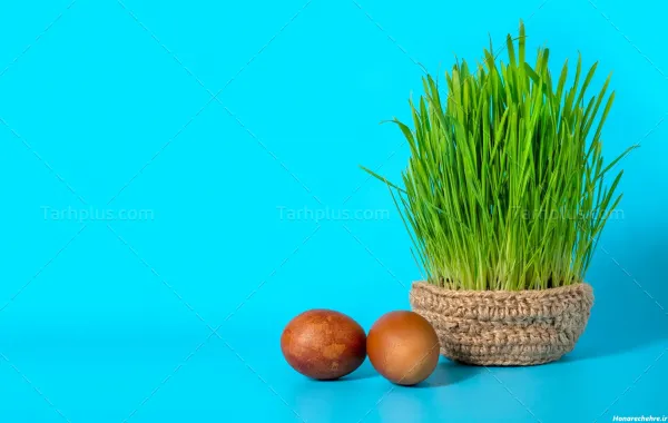  99 عکس نوروزی