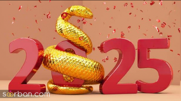  عکس های جدید سال نو میلادی