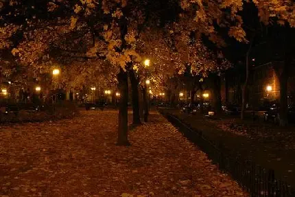  عکس برای شب یلدا 1404