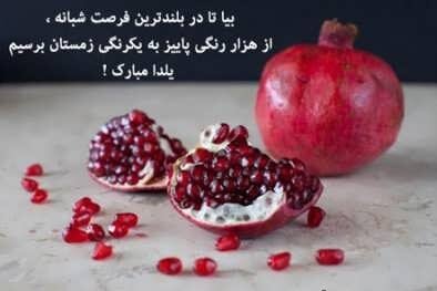  عکس شب یلدا خانواده های ایرانی