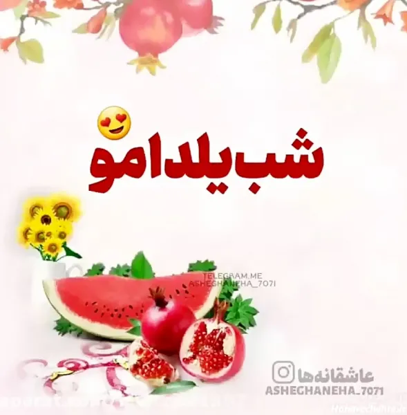  عکس شب یلدا برای معلم