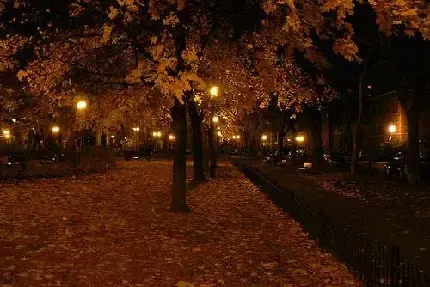  عکس شب یلدا بدون متن