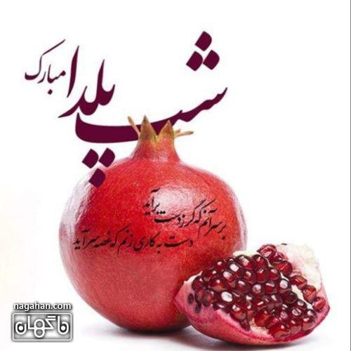  عکس شب یلدا کارتونی