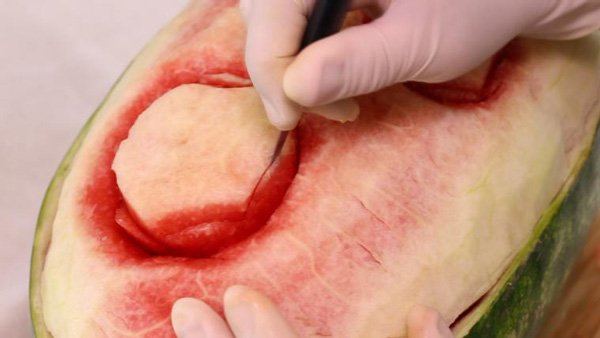  تزیین هندوانه شب یلدا برای عروس