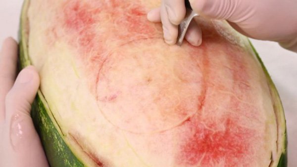  تزیین هندوانه شب یلدا برای عروس