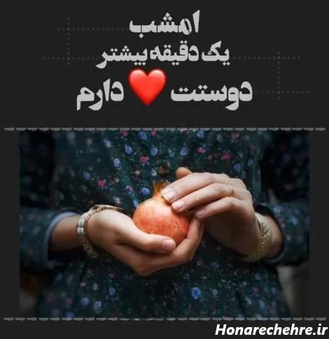  عکس شب یلدا انار
