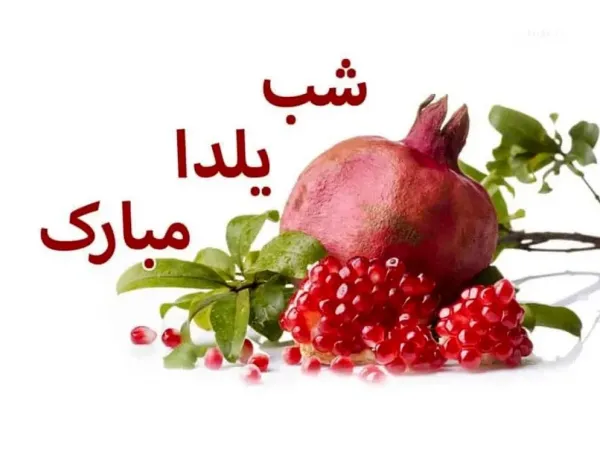  عکس شب یلدا انار