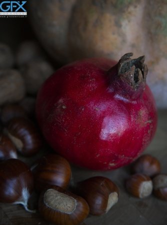  عکس انار برای پروفایل