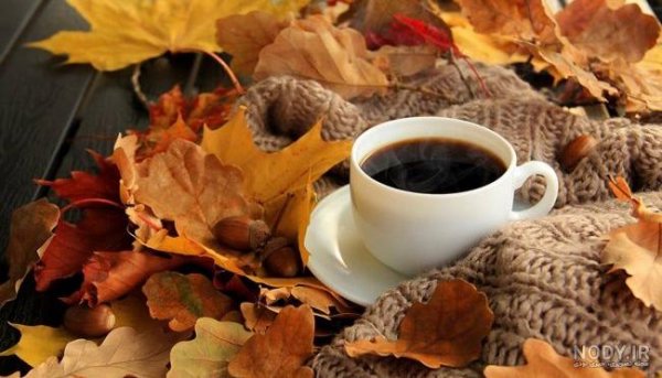  عکس انار پاییزی