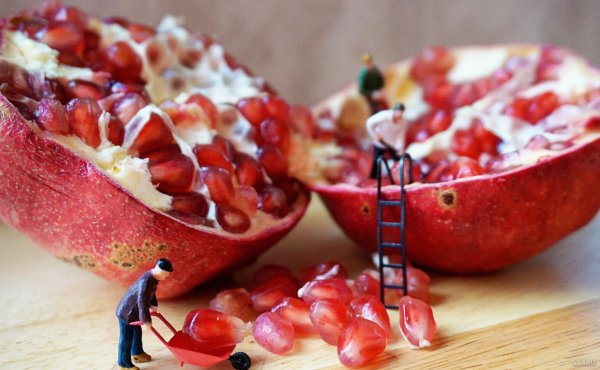  عکس انار پاییزی