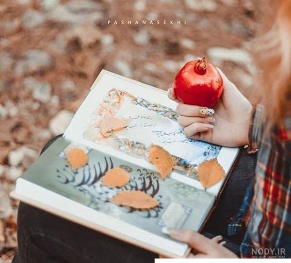  عکس انار پاییزی